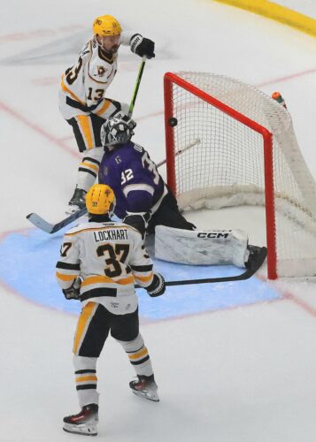 Nailers Sweep Gargoyles To Improve League